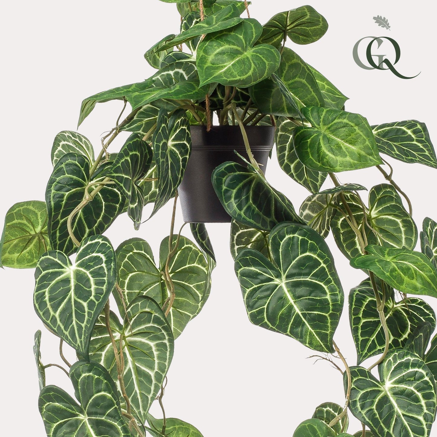 🌿 Anthurium clarinervium – Aderplant | Kunstplant