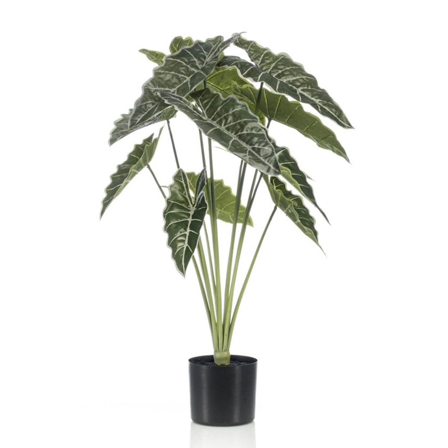 🌿 Alocasia – Realistische Kunstplant (80 cm)