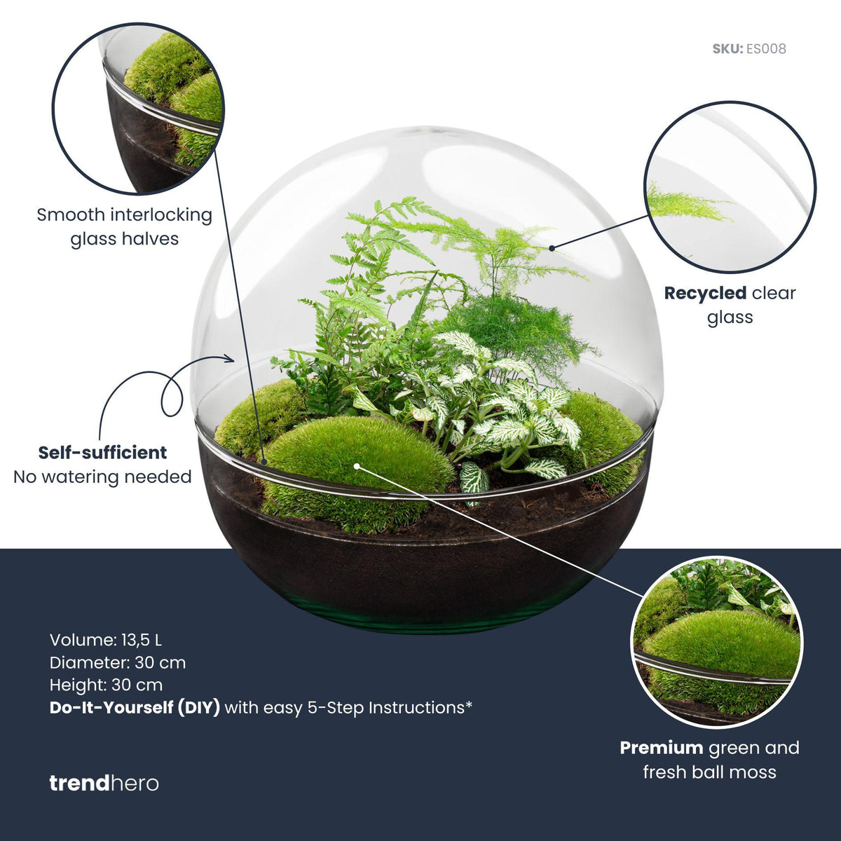 🌿 DIY Plantenterrarium Bolglas – Dome XL