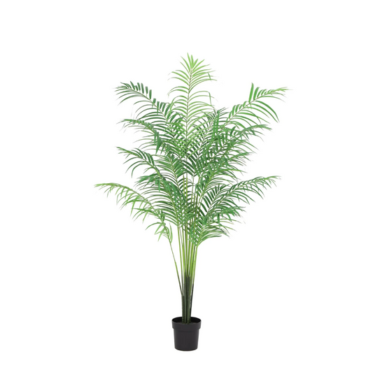 🌴 Kunst Kentia Palm – Tropische Kunstplant