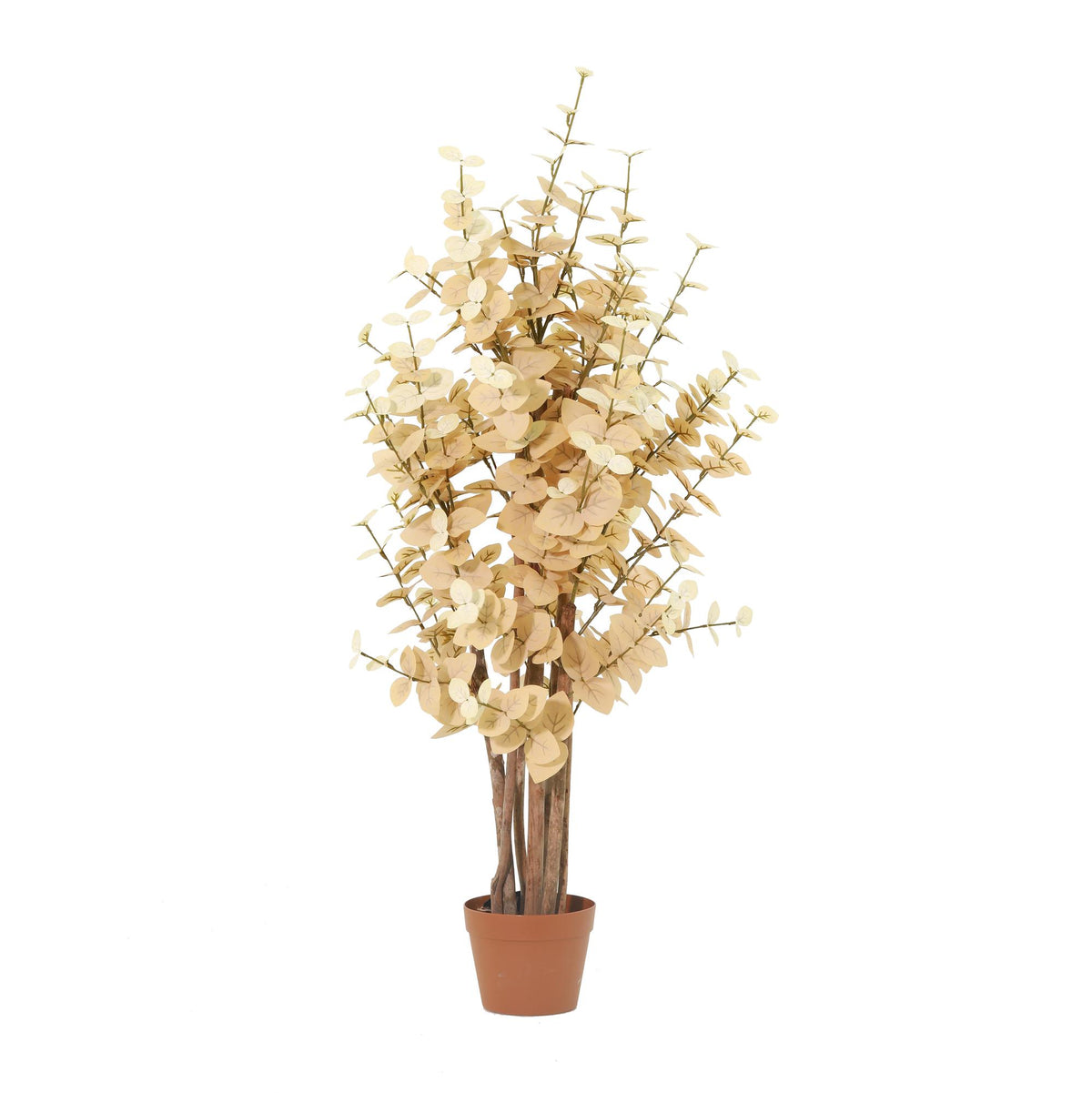 🌿 Eucalyptus Yellow – Kunst Eucalyptus Boom 125 cm