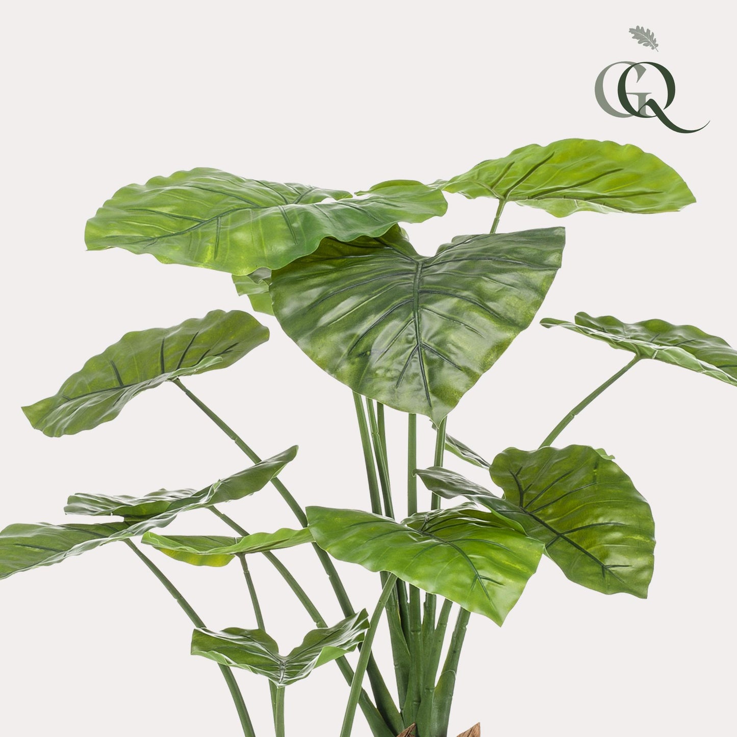 🌿 Kunst Alocasia – Olifantsoor Kunstplant