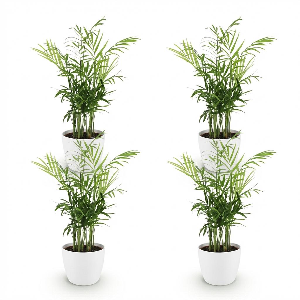 🌿 Chamaedorea elegans – Goudpalm (4 stuks)