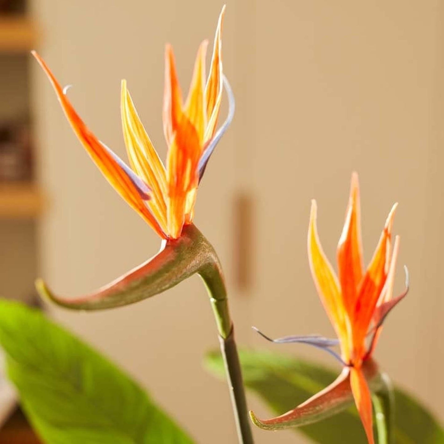 🌿 Strelitzia – Realistische Kunstplant in Pot (120 cm)