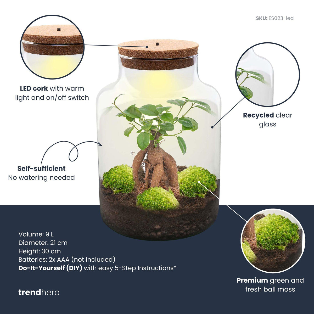 💡 DIY Plantenterrarium met Verlichting – Milky Bonsai