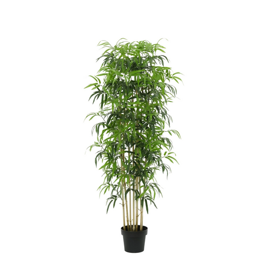 🎋 Kunst Bamboe – Tropische Kunstplant