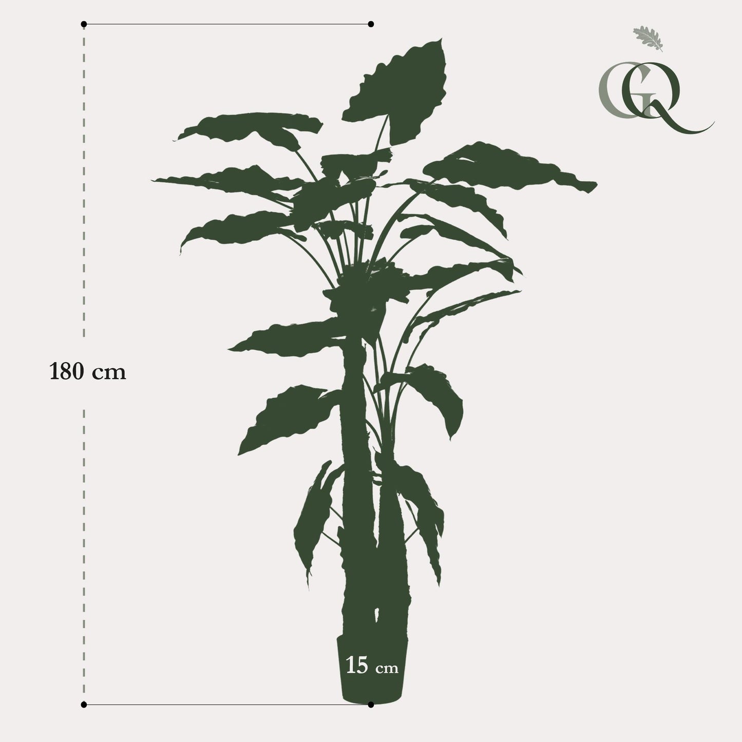 🌿 Kunstplant Alocasia – Olifantsoor | Luxe Tropische Kunstplant