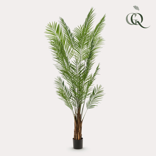 🌴 Areca Goudpalm – Dypsis lutescens Kunstplant
