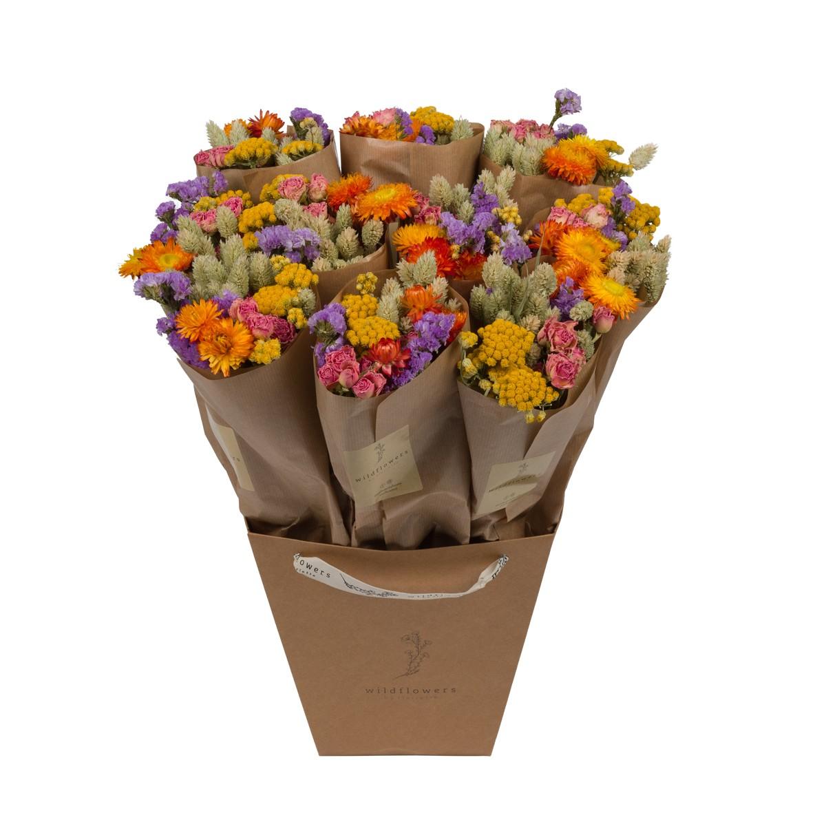 🌾 Market More – Set van 10 Droogbloemenboeketten | Natuurlijke Mix