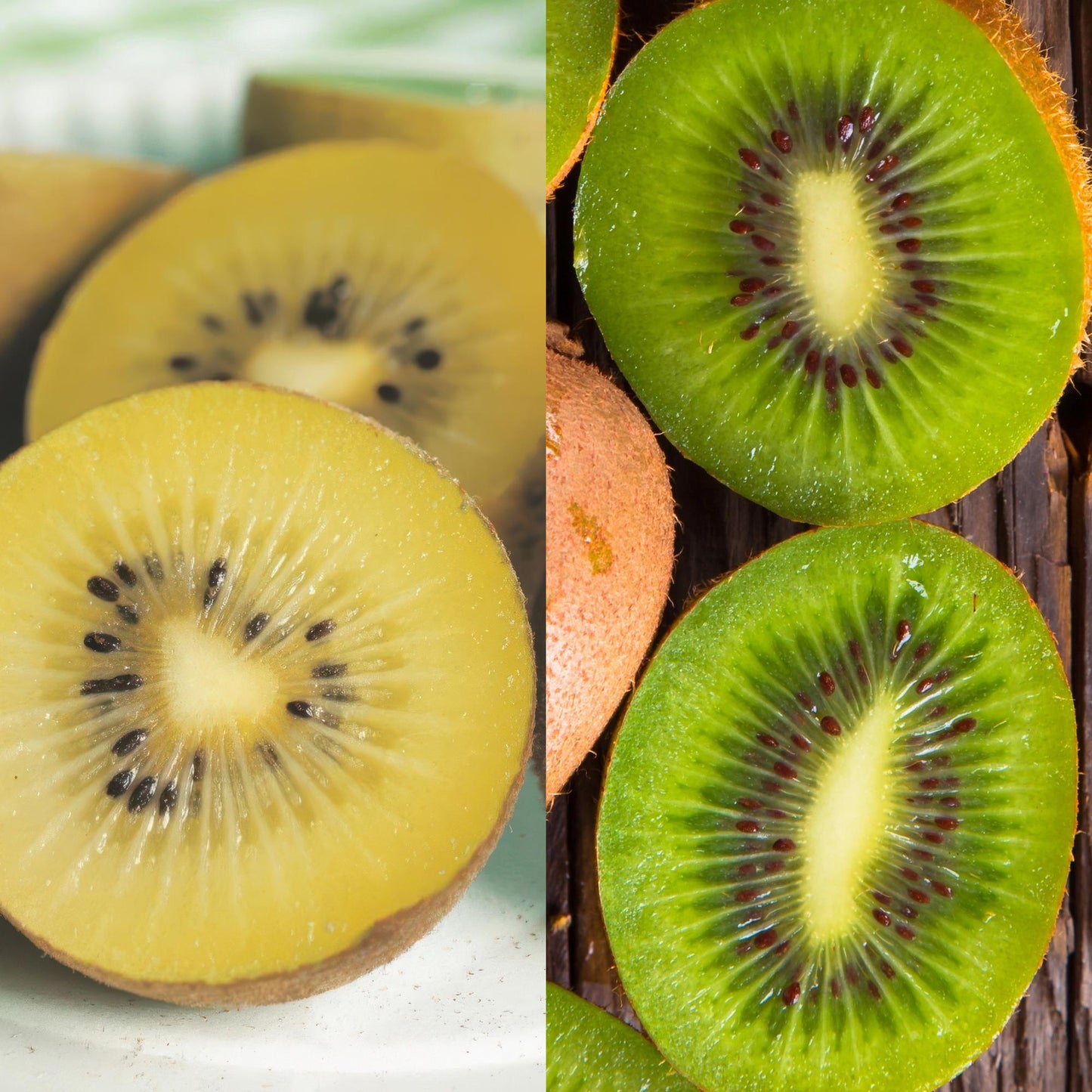 🥝 Actinidia deliciosa ‘Jenny’ & Golden Kiwi – Kiwi Planten (2 Stuks)