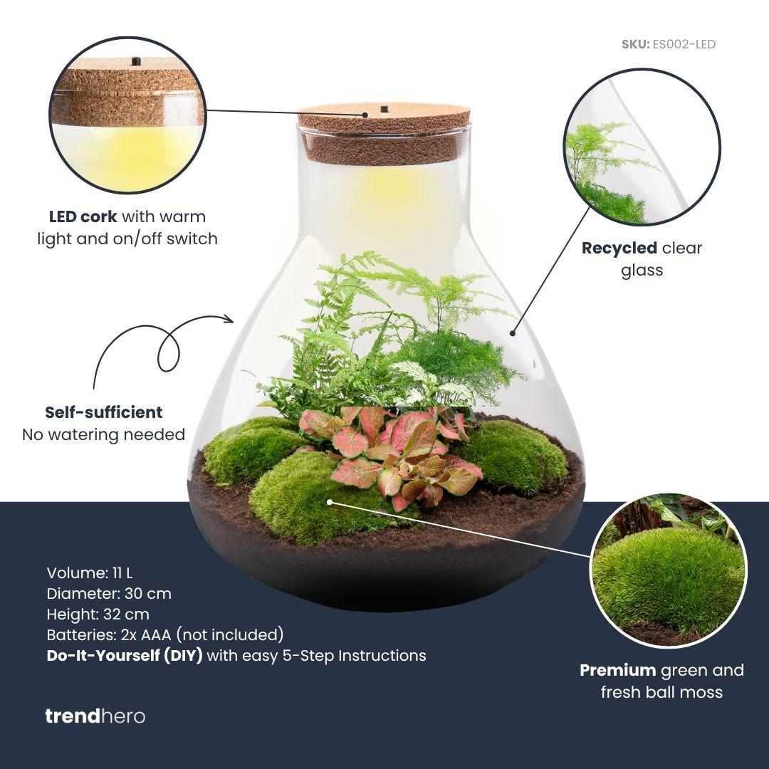 💡 DIY Plantenterrarium met Verlichting – Sam XL Red