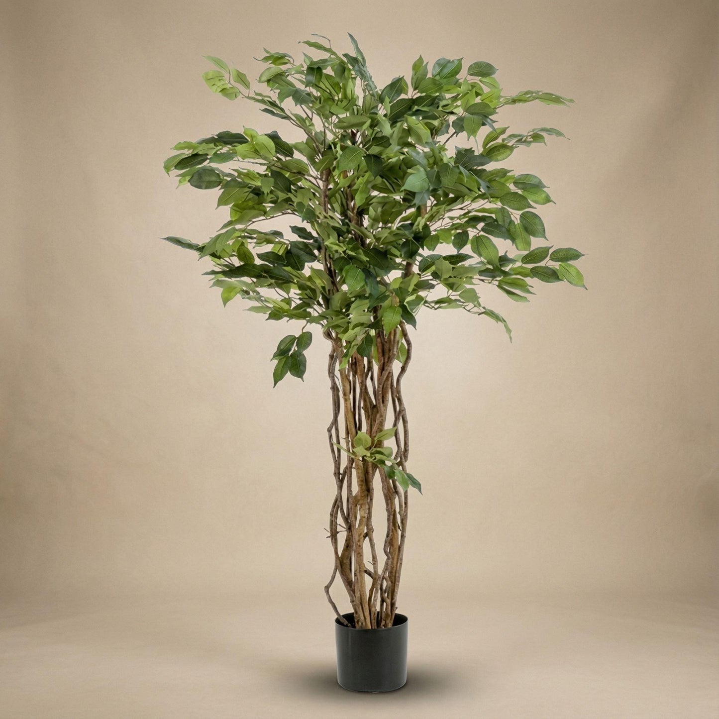 🌿 Kunst Ficus Liana – Decoratieve Kunstboom