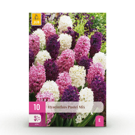 🌸✨ Hyacint Pastel Mix – Zachte Voorjaarskleuren 10 stuks)