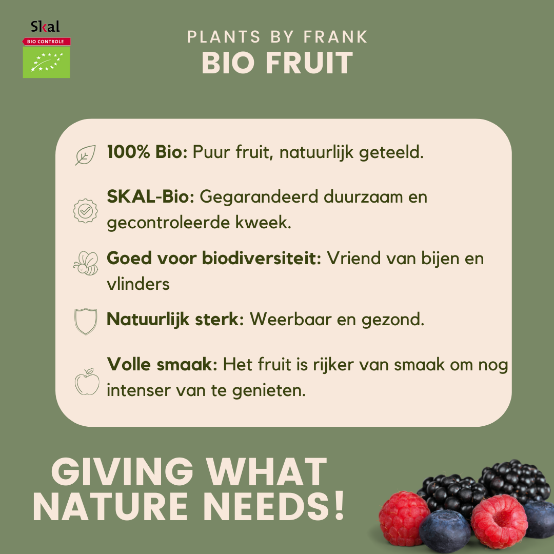 🍇 BIO Fruitplanten Mix ‘Vruchten Feestje’ (3 Stuks)