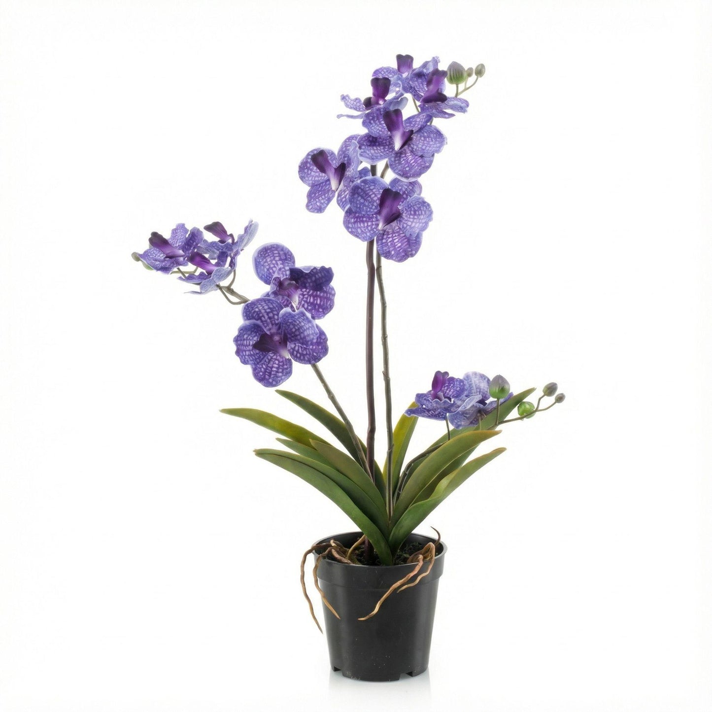 🌸 Vanda Orchidee – Kunstplant in Pot (60 cm, Paars)
