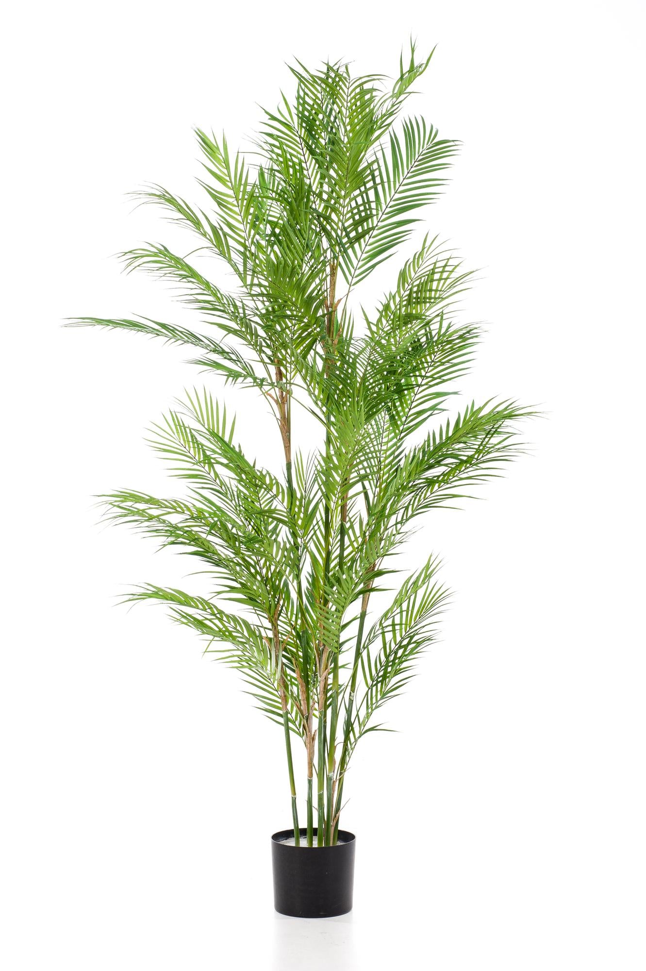 🌴 Kunstplant Chamaedorea Elegans – Bergpalm | Luxe Tropische Kunstplant