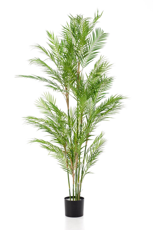🌴 Kunstplant Chamaedorea Elegans – Bergpalm | Luxe Tropische Kunstplant