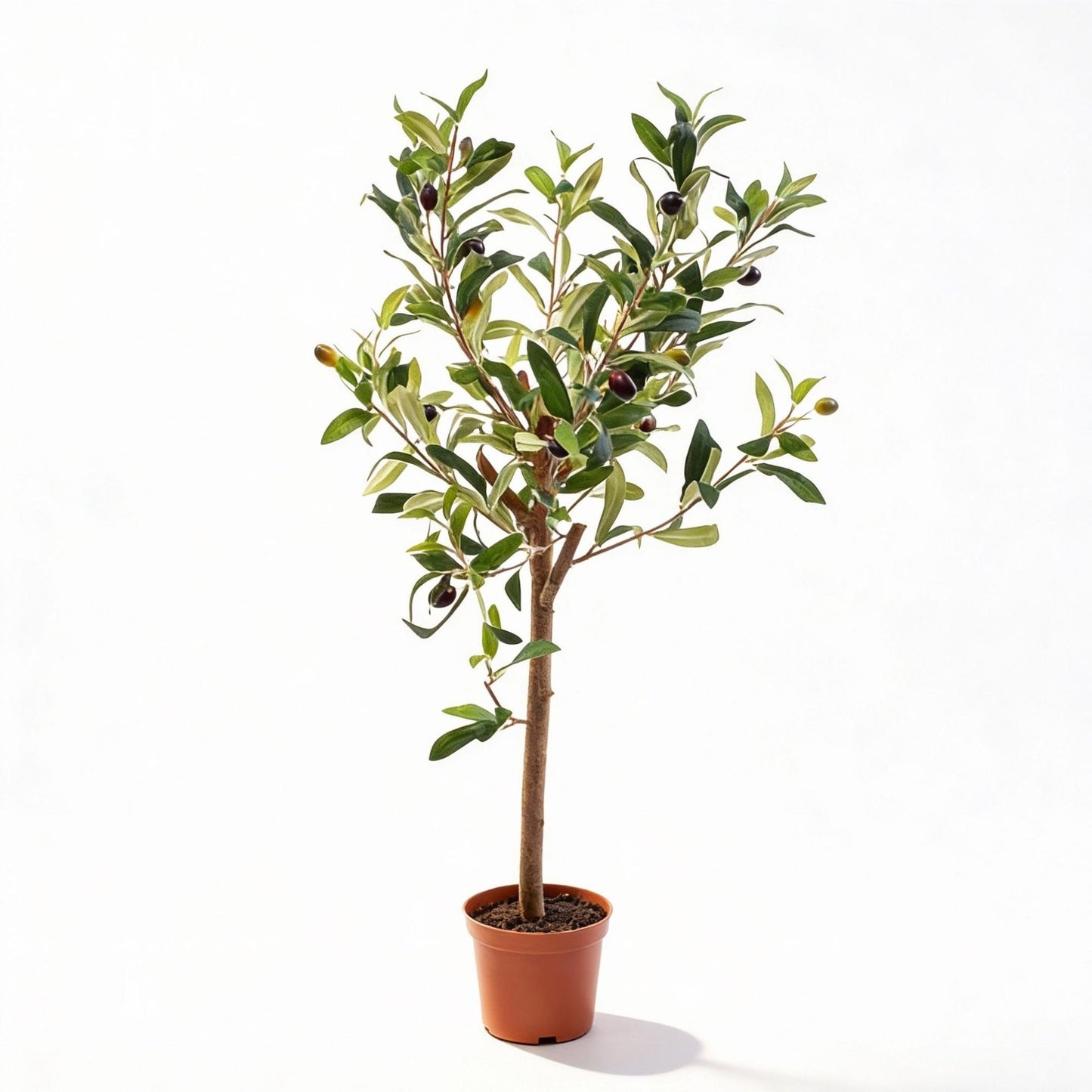 🌿 Olijfboom – Realistische Kunstplant in Pot (65 cm)