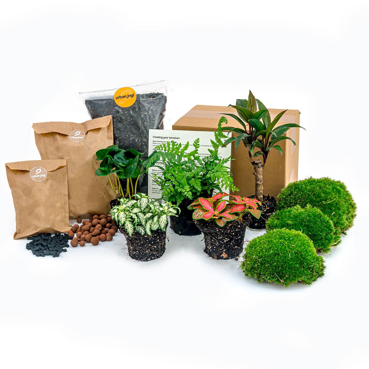🌿 Terrarium Navulling & Startpakket – Jungle