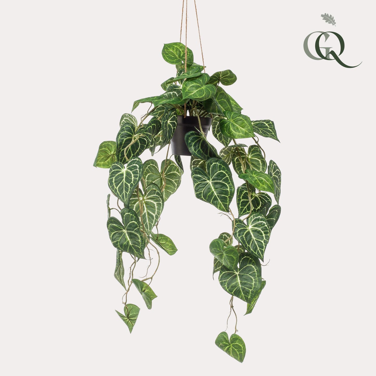 🌿 Anthurium clarinervium – Aderplant | Kunstplant
