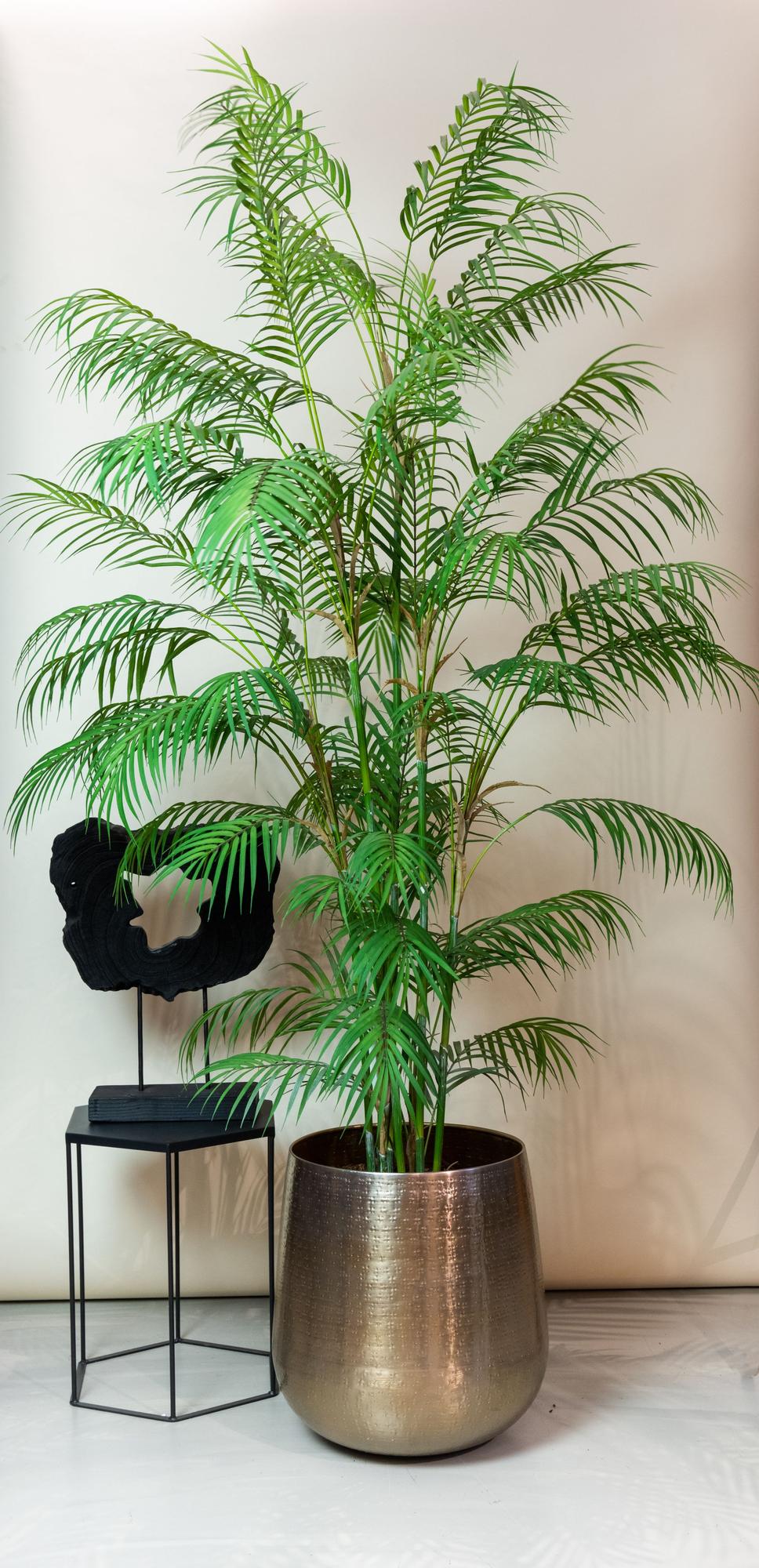 🌴 Kunstplant Chamaedorea Elegans – Bergpalm | Luxe Tropische Kunstplant