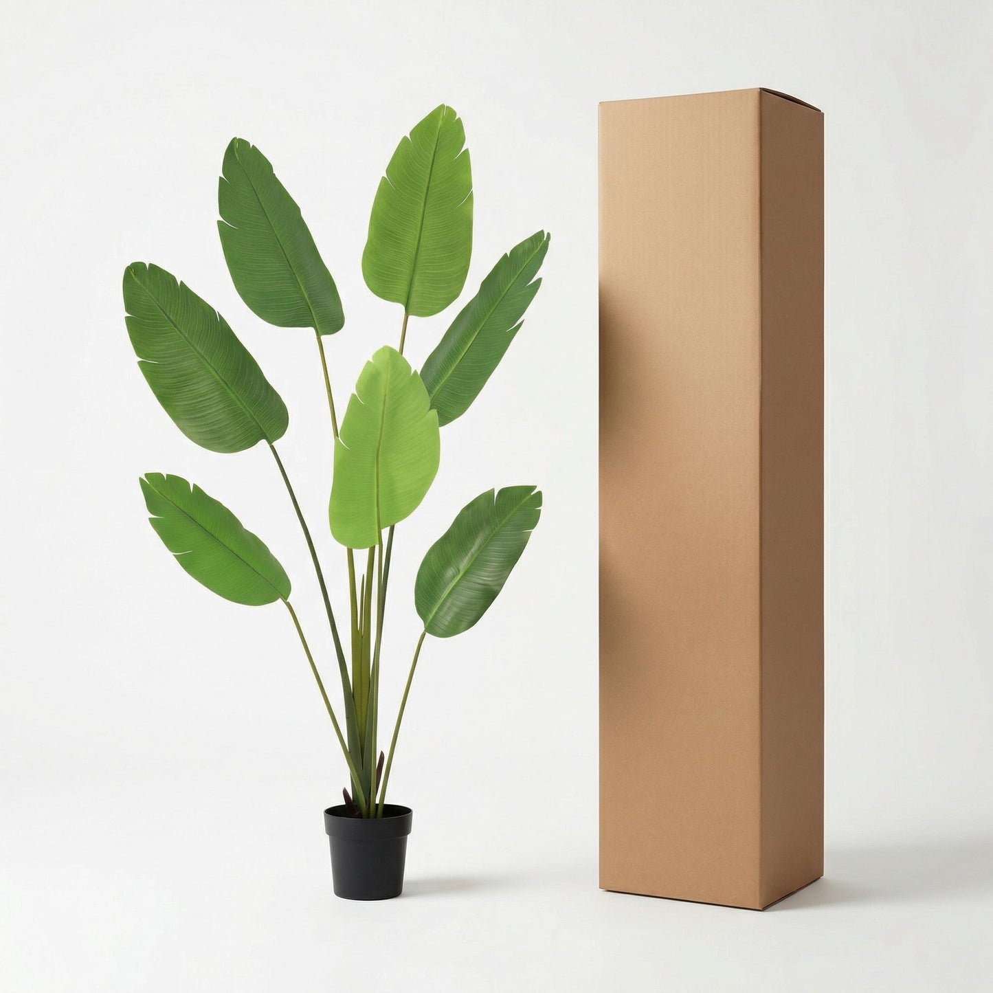 🌿 Kunst Strelitzia Nicolai