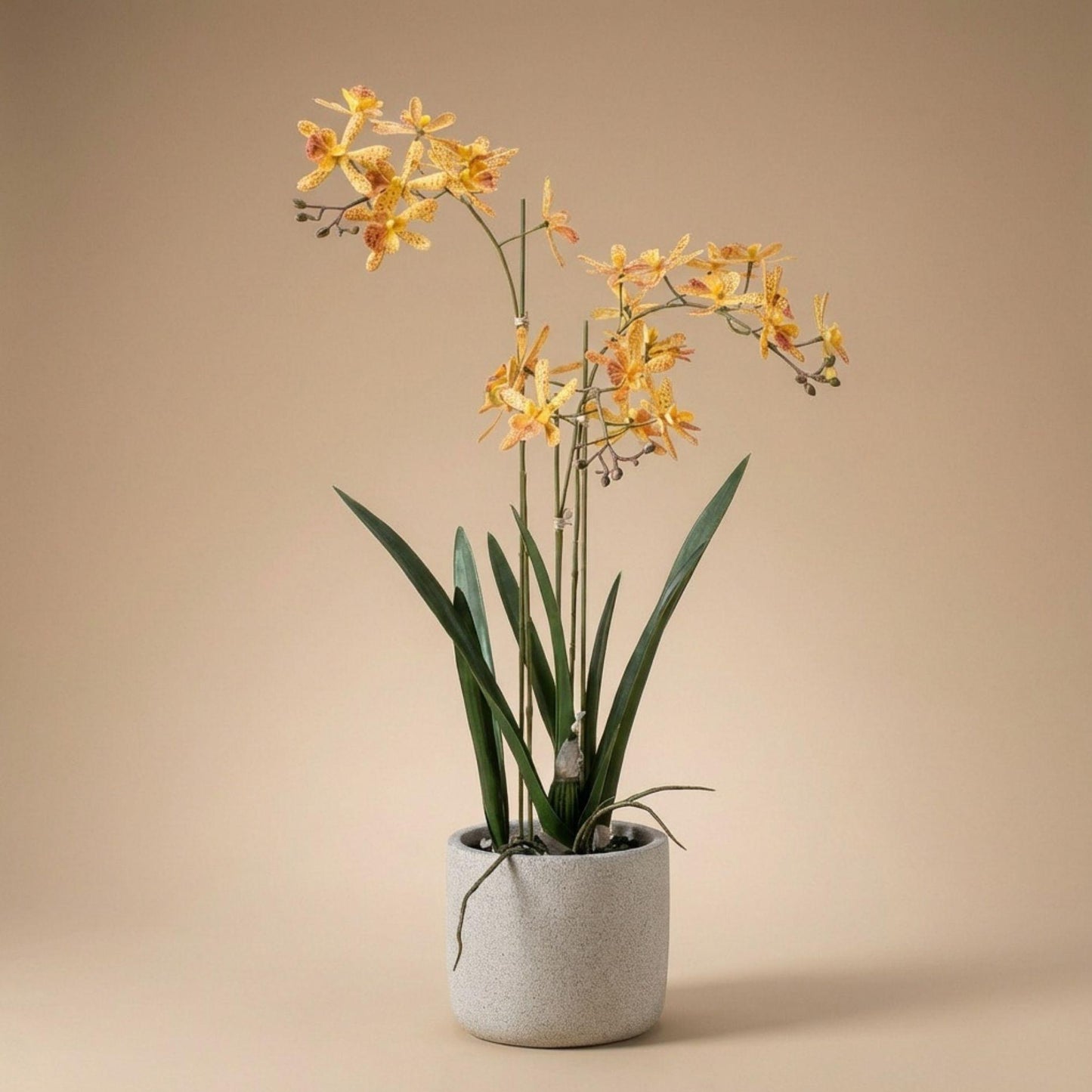 🌼 Renanthera Orchidee Geel & Oranje | Luxe Kunstplant in Pot