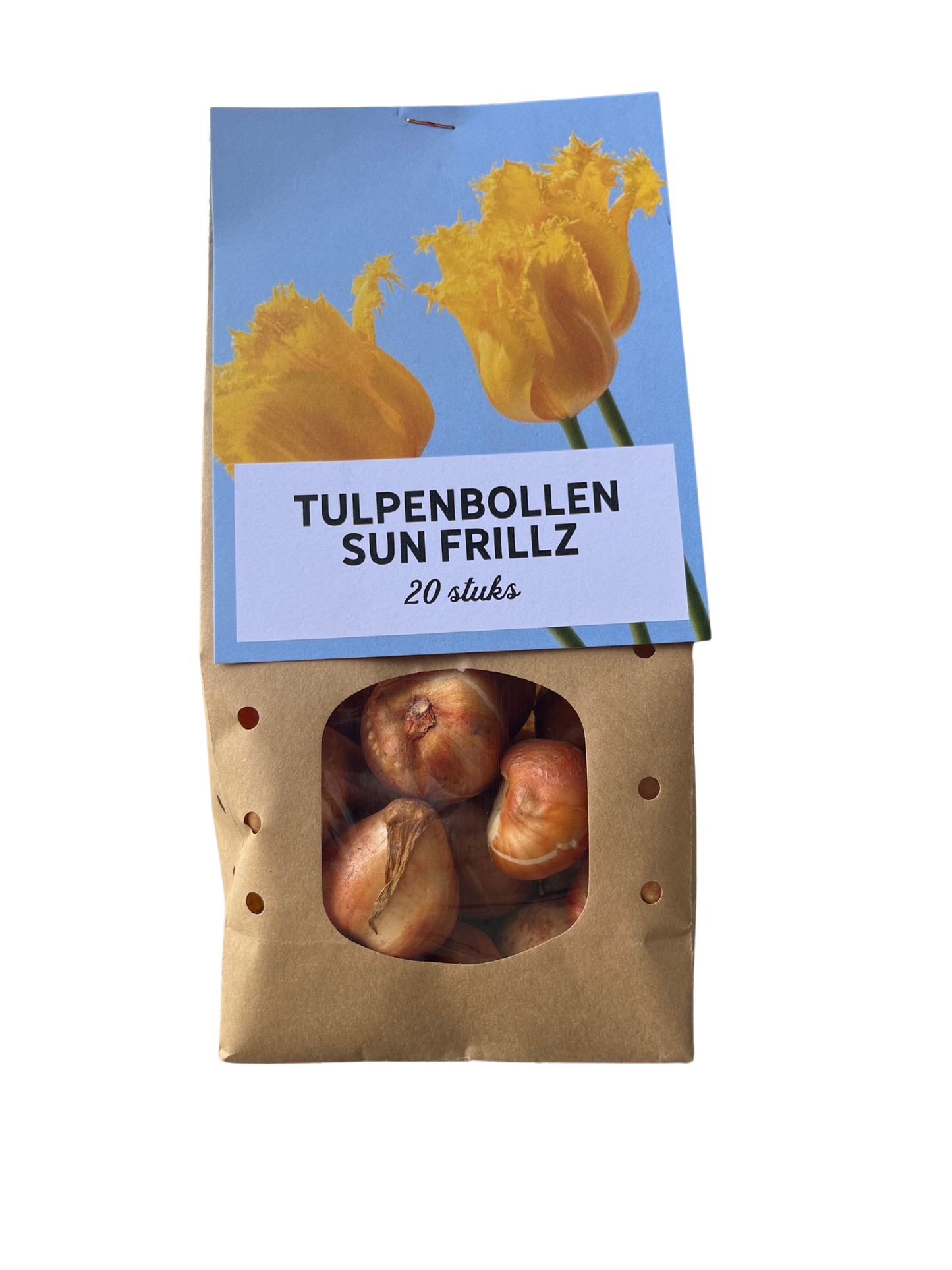 🌷 Tulpenbollen ‘Sun Frillz’ – Gele Tulp met Kartelrand (20 Stuks)