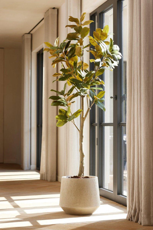 🌸 Magnolia denudata – Realistische Kunstboom (150 cm)
