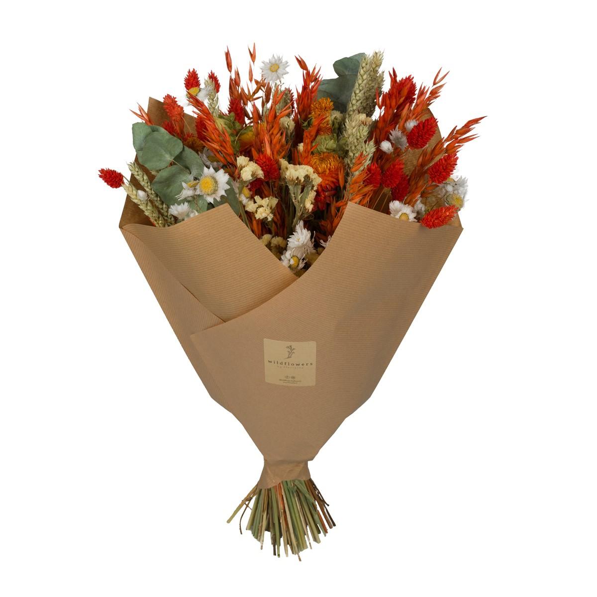 Droogbloemen – Field Bouquet Large Orange (8 Stuks)