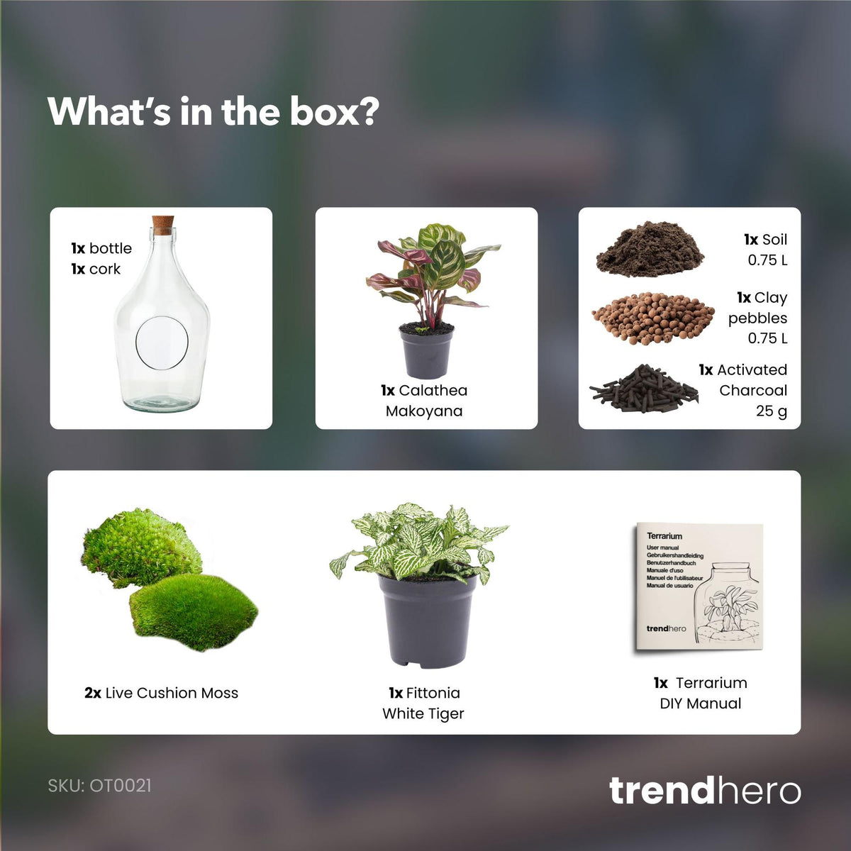 🌿 Open Plantenterrarium – Joss