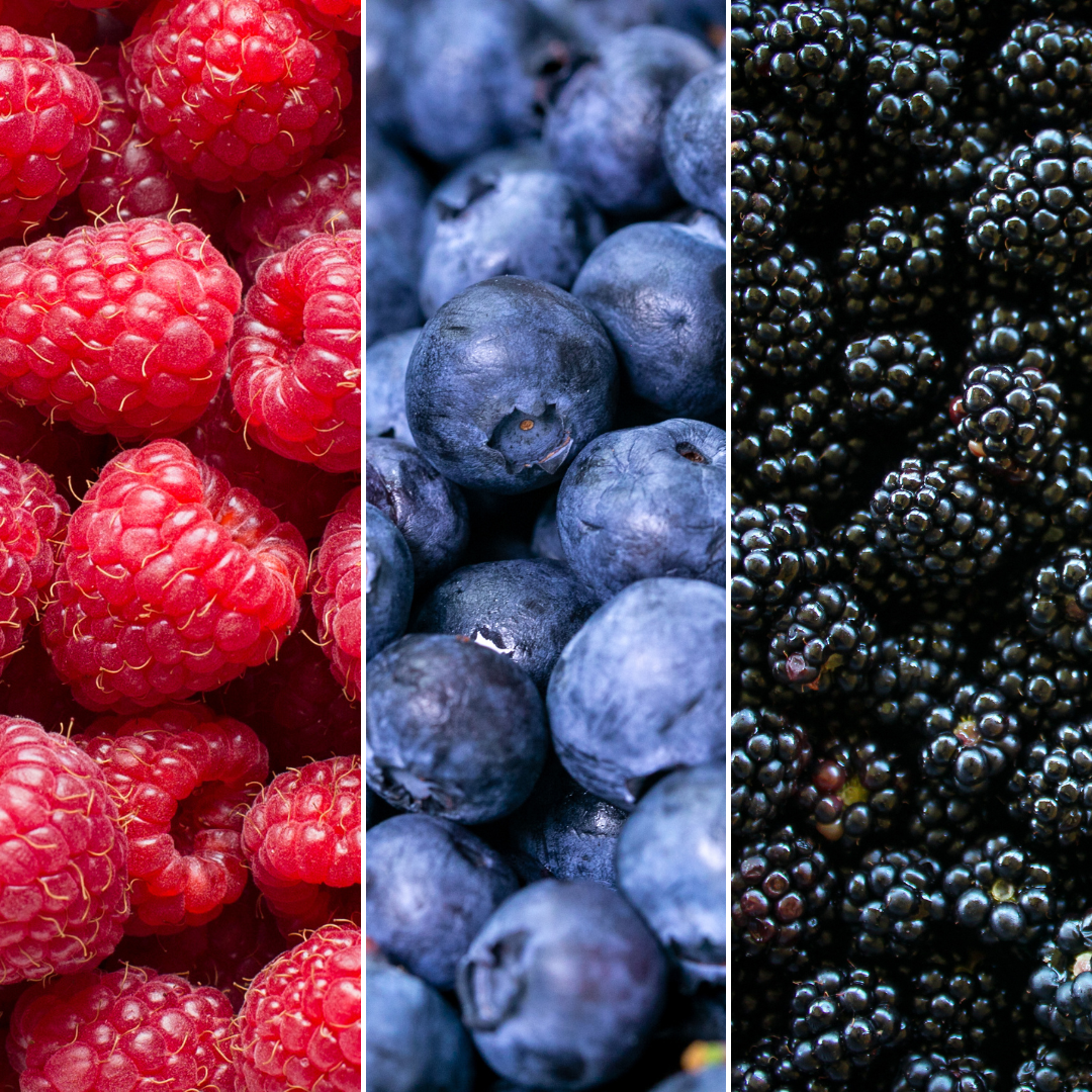 🍇 BIO Fruitplanten Mix ‘Vruchten Feestje’ (3 Stuks)