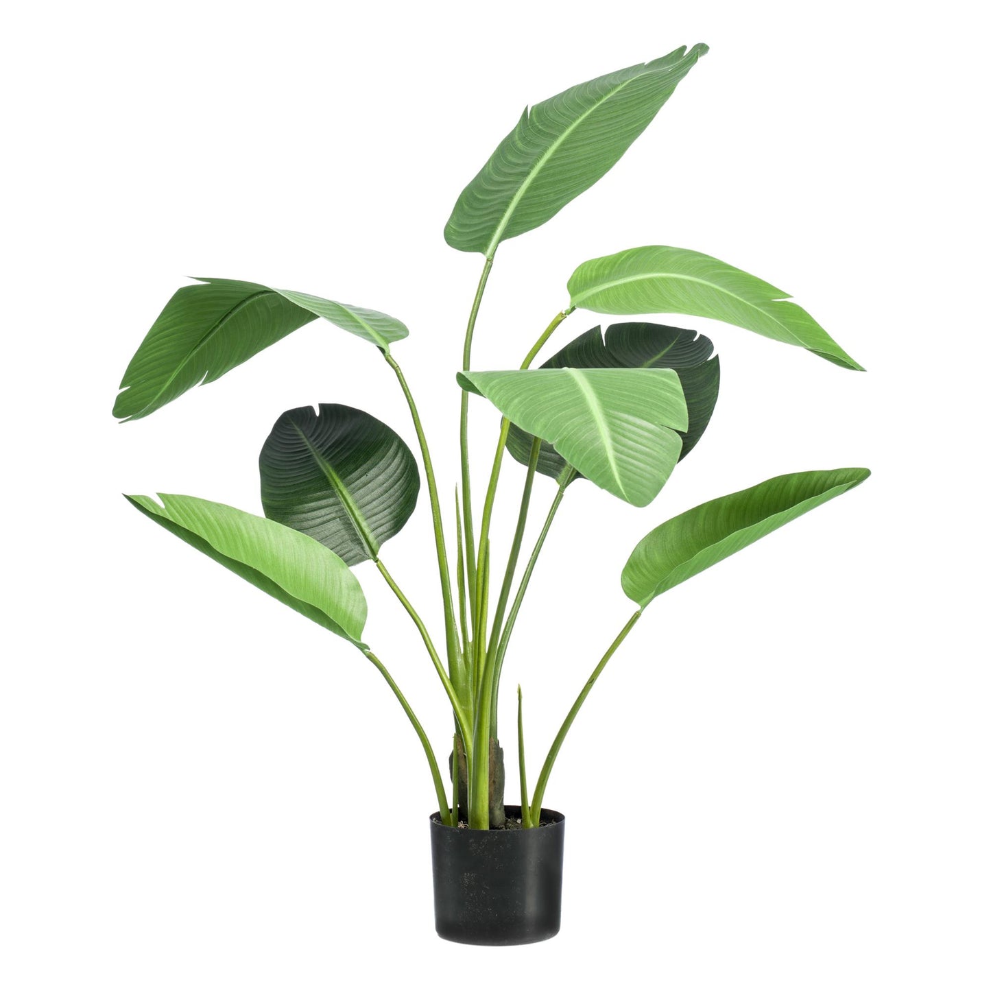 🌿 Kunst Strelitzia Nicolai – Paradijsvogelplant Kunstplant