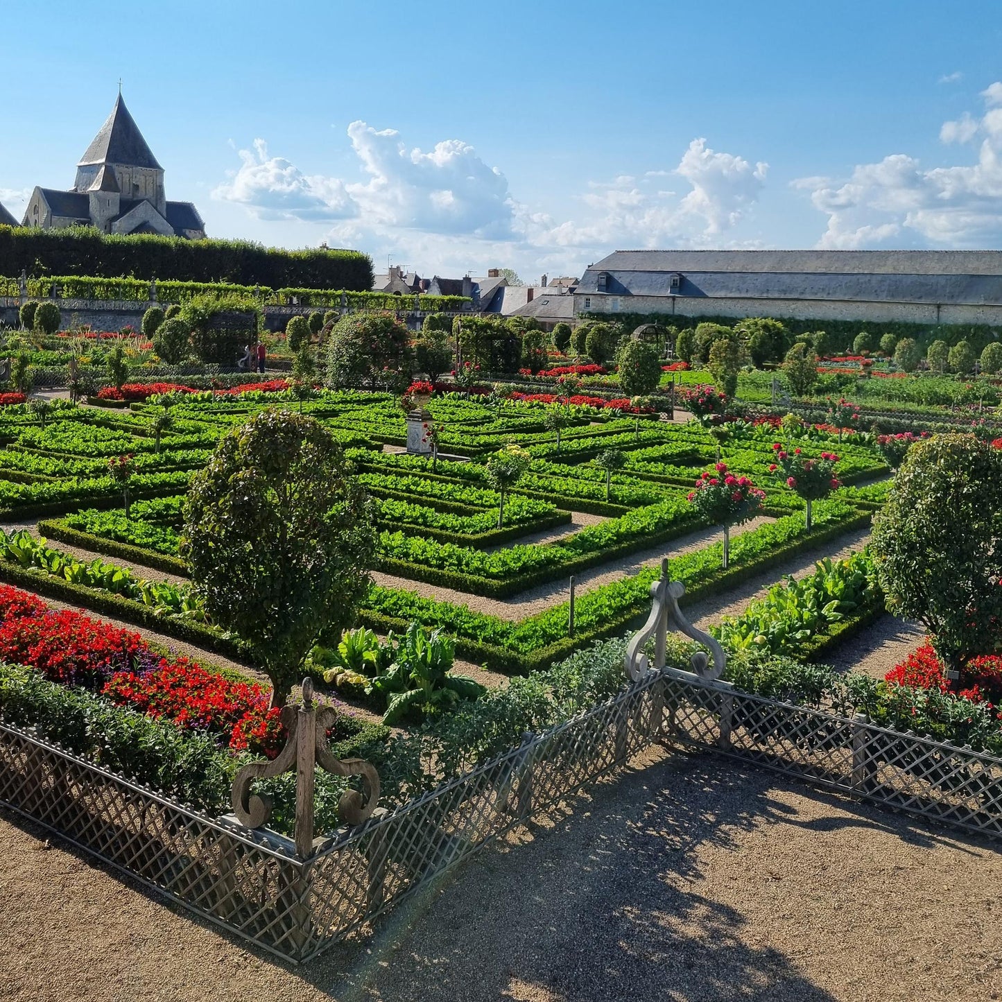 🌿 BetterBuxus ‘Skylight’ | Sterke Buxus Bol (2 Stuks)
