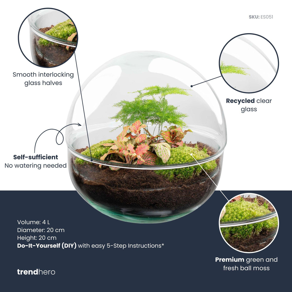🌿 DIY Plantenterrarium Bolglas – Dome Red
