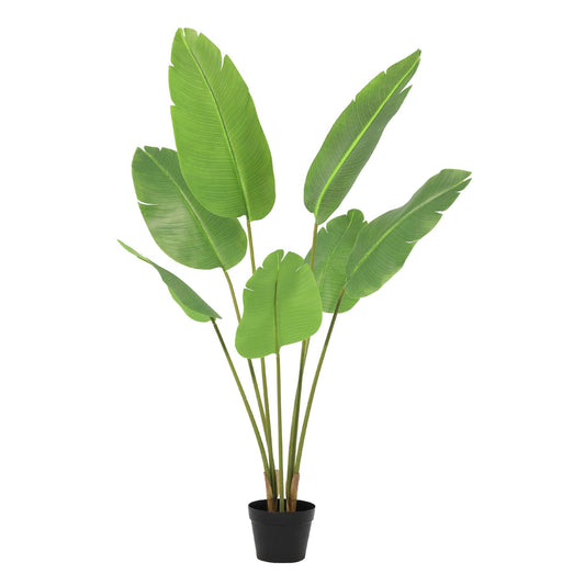🌿 Kunst Strelitzia Nicolai