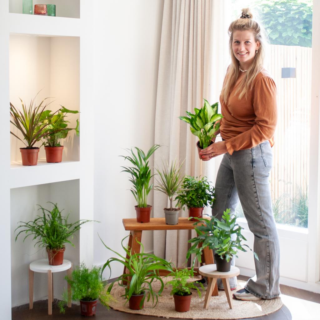 🌿 Groene Kneusjesbox – Red de planten met een schoonheidsfoutje  (12 stuks)