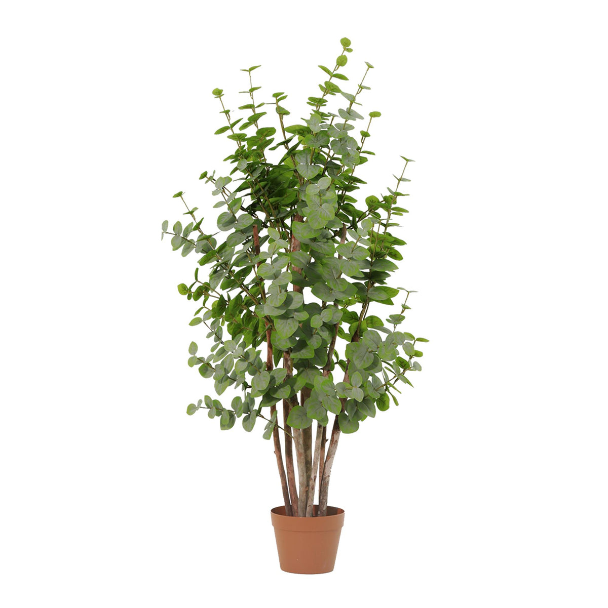 🌿Eucalyptus Green – Kunst Eucalyptus Boom 120 cm