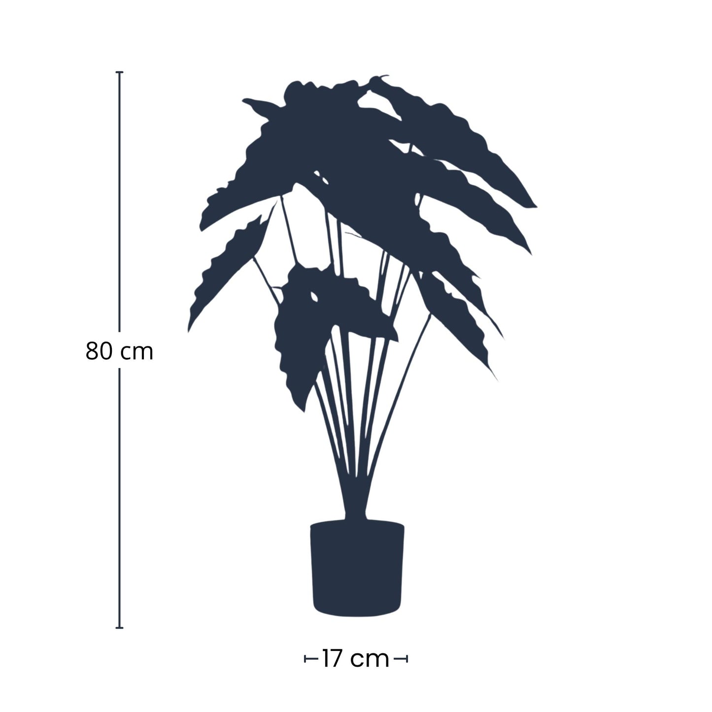 🌿 Alocasia – Realistische Kunstplant (80 cm)