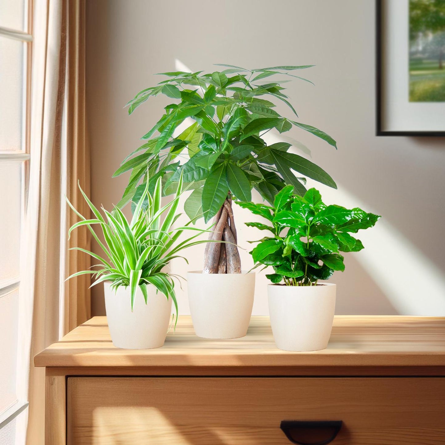 🐾 Diervriendelijke Plantenbox – Klein met Vibers Pot Wit (3 stuks)