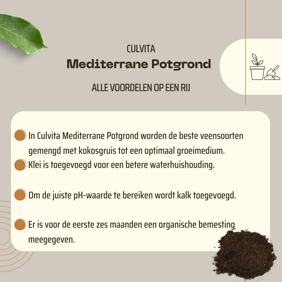 🌿 Culvita Mediterrane Potgrond 40L | Speciaal voor Olijf, Citrus & Palmen