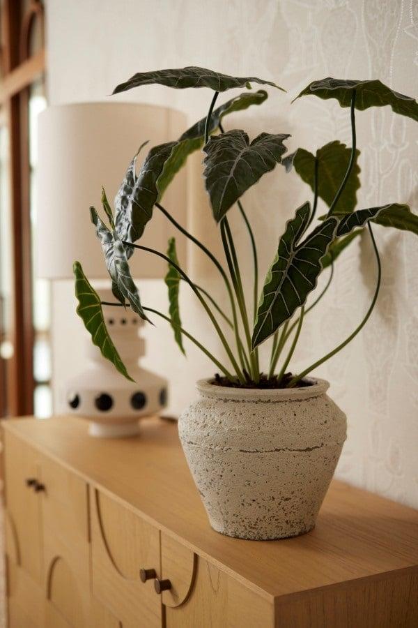 🌿 Alocasia – Realistische Kunstplant (80 cm)