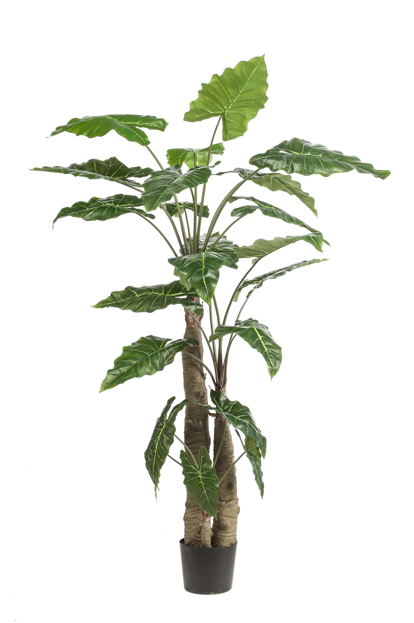 🌿 Kunstplant Alocasia – Olifantsoor | Luxe Tropische Kunstplant