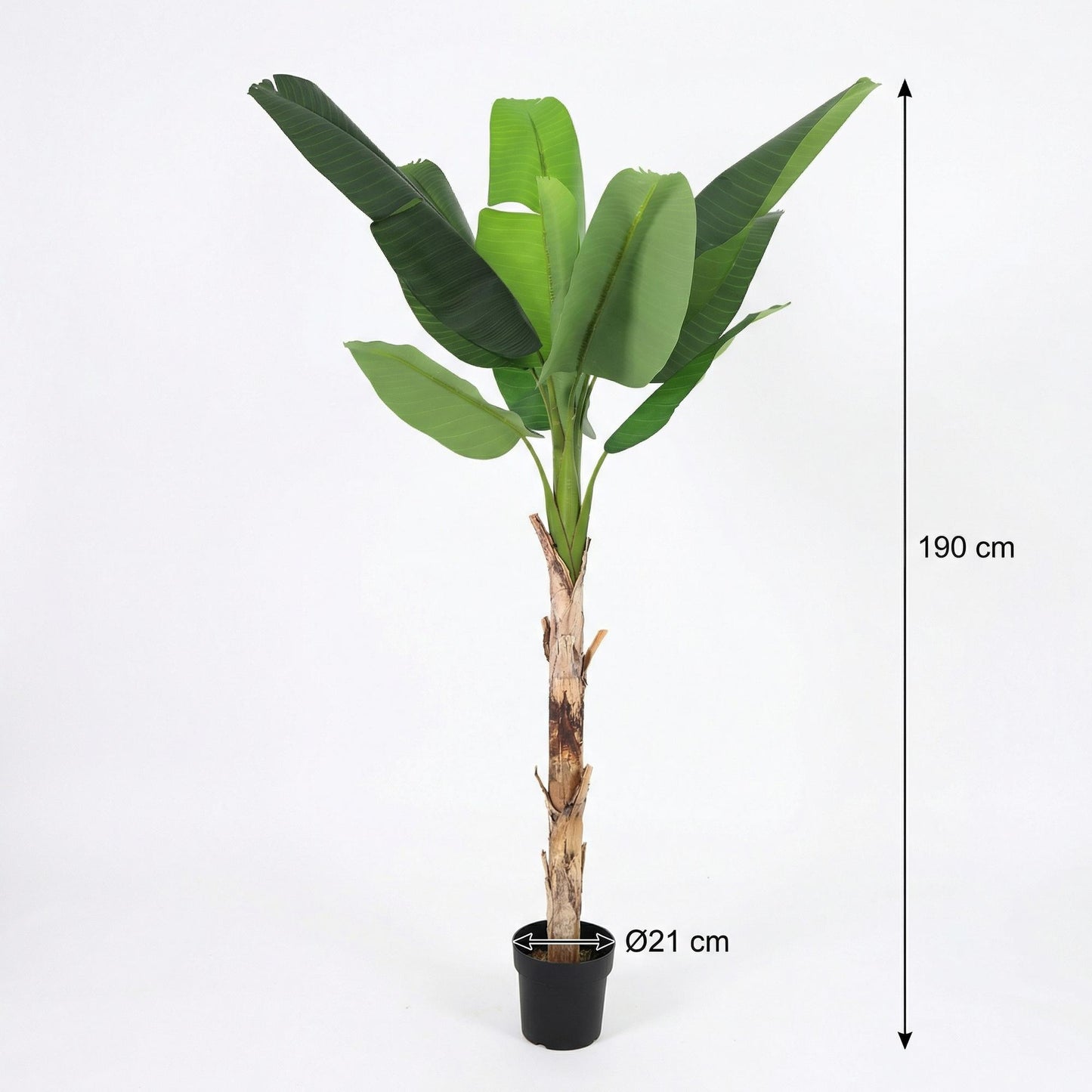 🌴 Kunst Bananenplant Musa