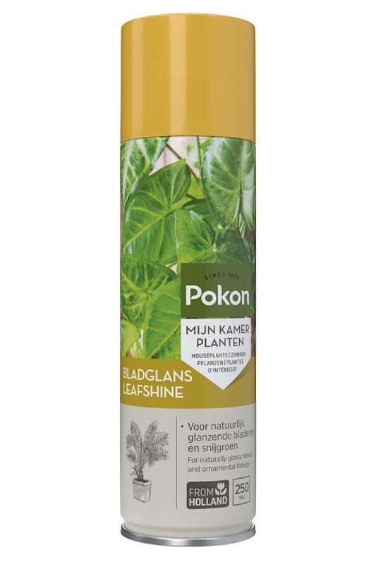 Pokon Bladglans – 250 ml – Voor stralende kamerplanten