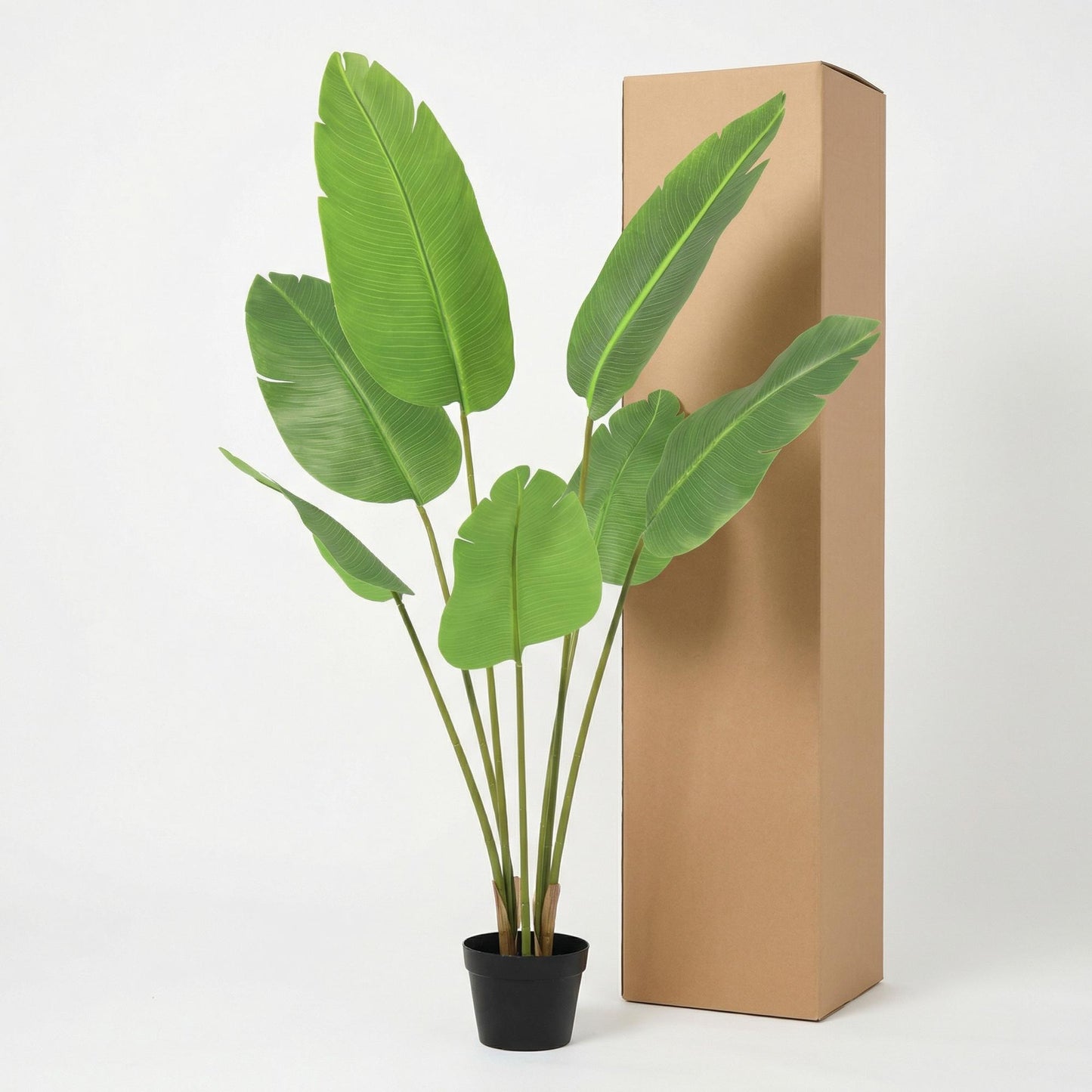 🌿 Kunst Strelitzia Nicolai