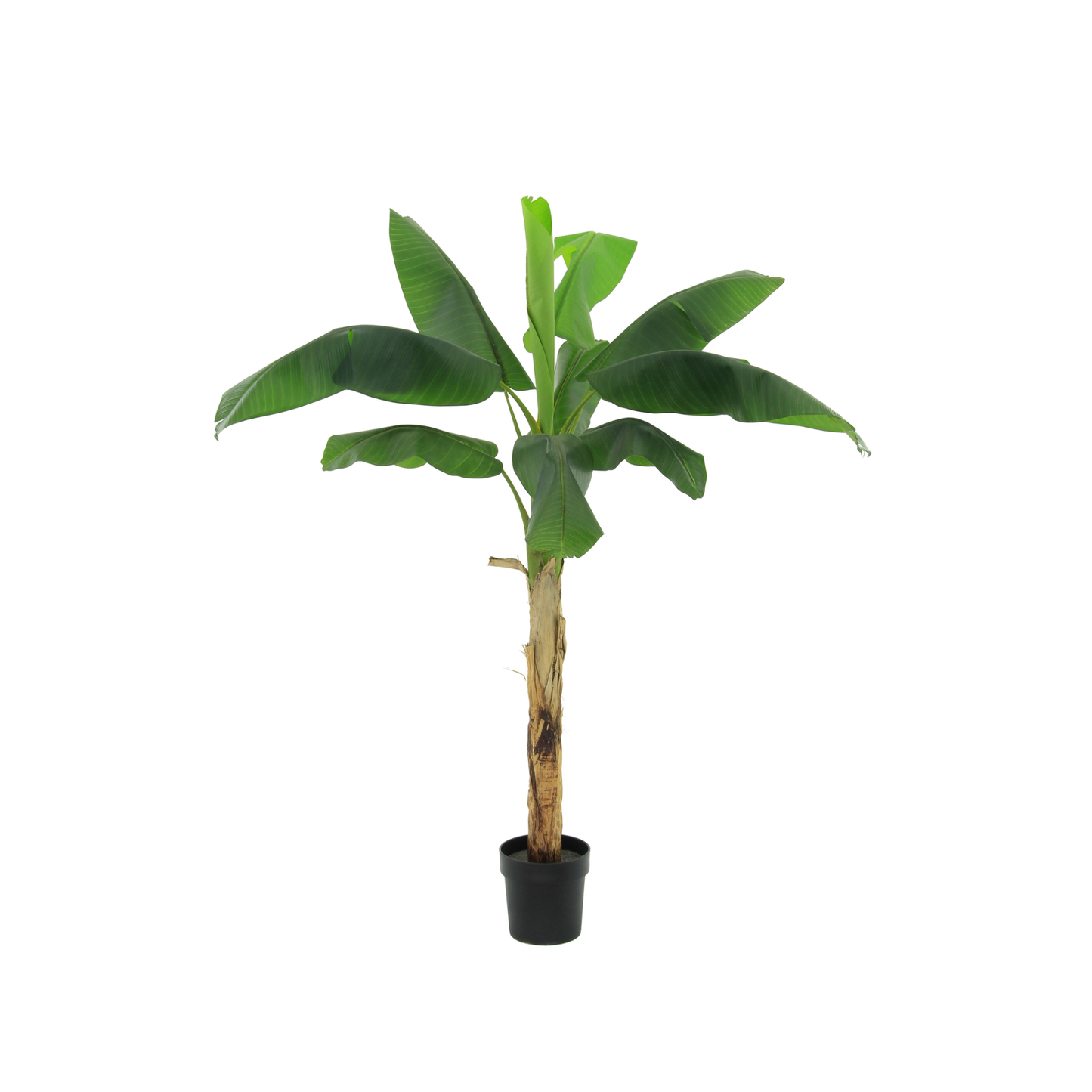 🌴 Kunst Bananenplant Musa | Tropische Kunstplant voor je Interieur