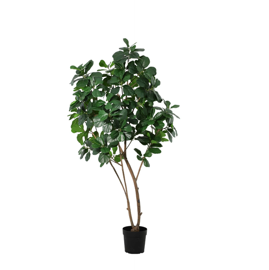 🌿 Kunst Ficus Lyrata Boom