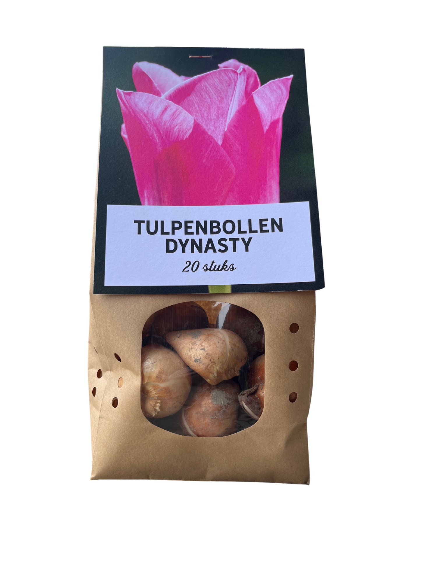 🌷 Tulpenbollen ‘Dynasty’ – Roze Tulp (20 Stuks)