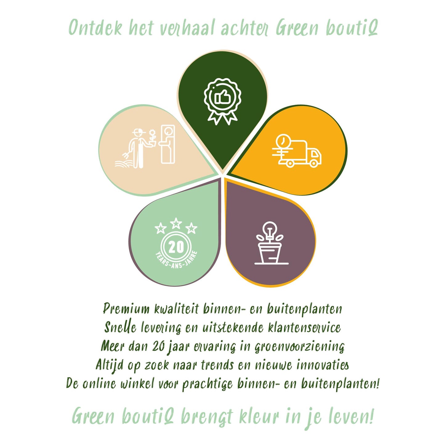 🎋 Fargesia robusta ‘Pingwu’ | Niet-woekerende Bamboe (2 stuks)